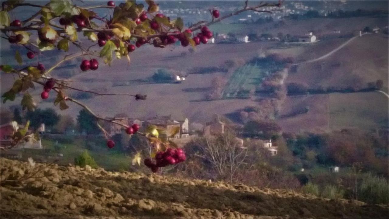 Willa Barbagianni Senigallia Zewnętrze zdjęcie