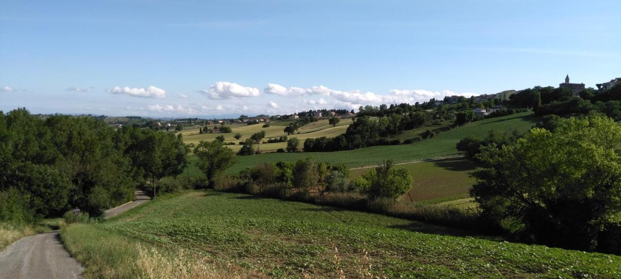 Willa Barbagianni Senigallia Zewnętrze zdjęcie